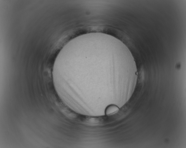 X0000116590522200912312039