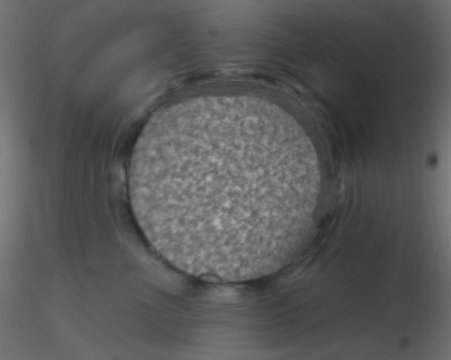 X0000116590523200912312039