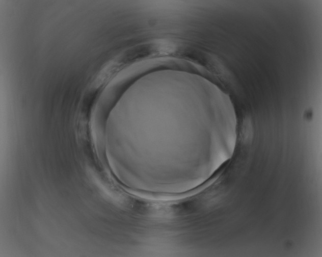 X0000116590524200912312039