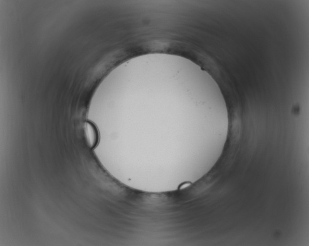 X0000116590525200912312039