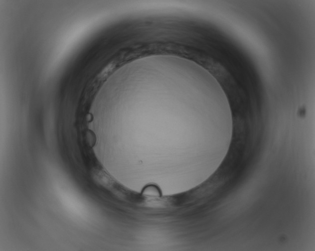 X0000116590526200912312038