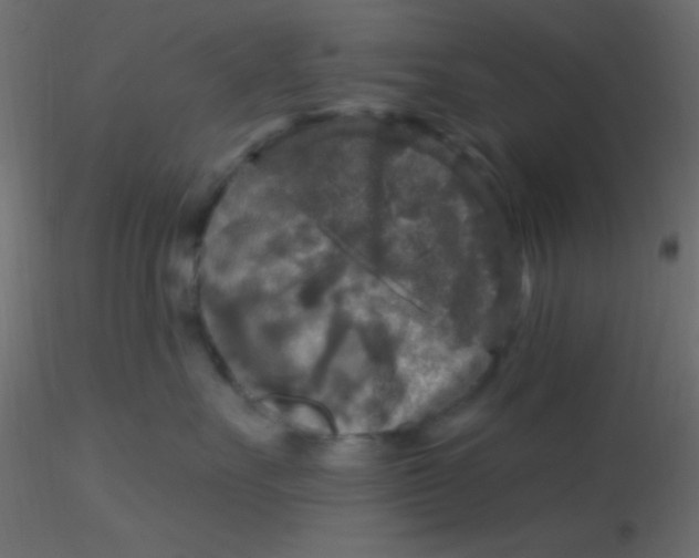 X0000116590527200912312038