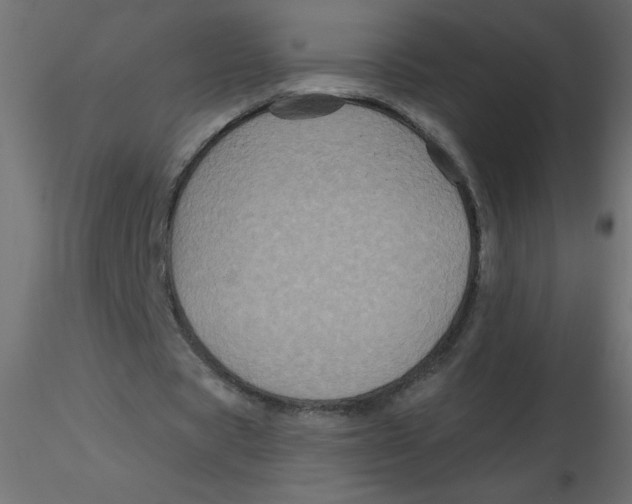 X0000116590529200912312038