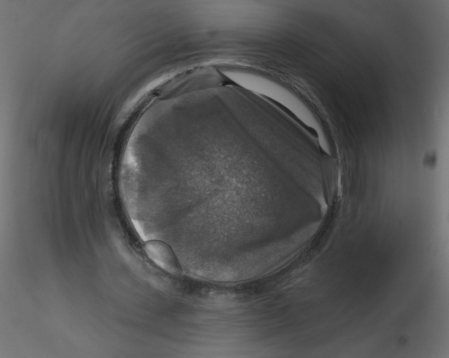 X0000116590531200912312038