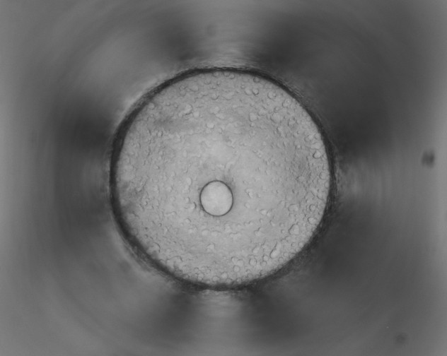 X0000116590534200912312038