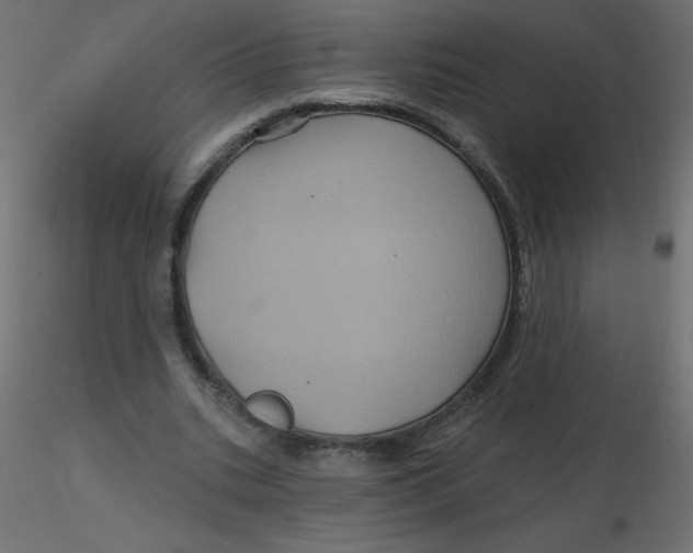 X0000116590535200912312038