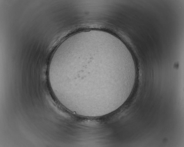 X0000116590537200912312038