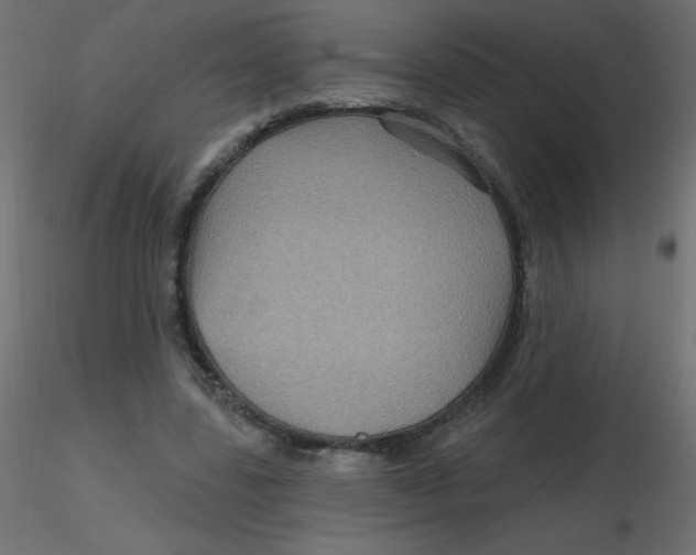 X0000116590539200912312038