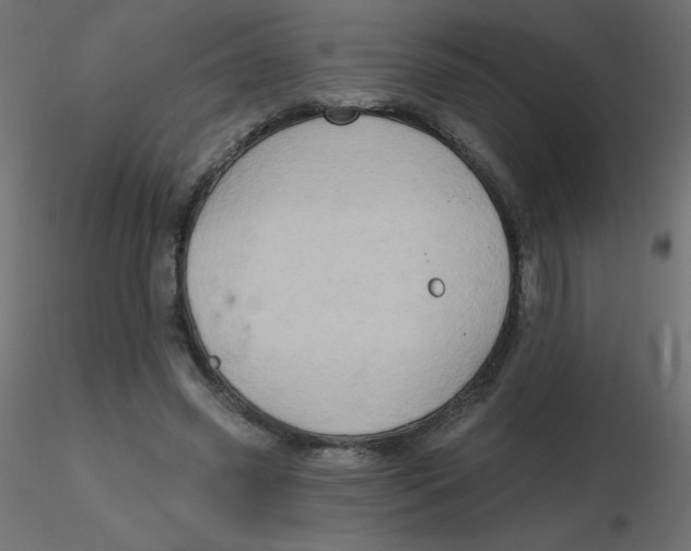 X0000116590541200912312038