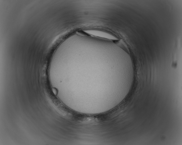 X0000116590543200912312038