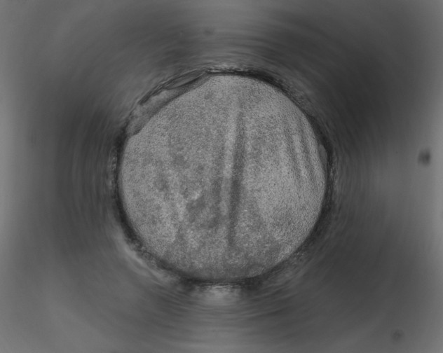 X0000116590546200912312038