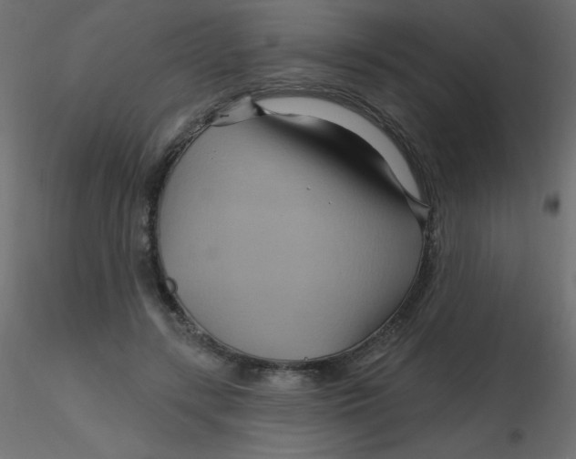 X0000116590547200912312038