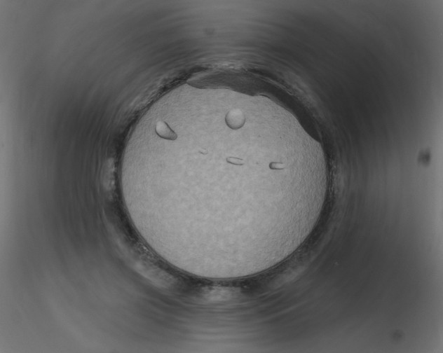 X0000116590549200912312038