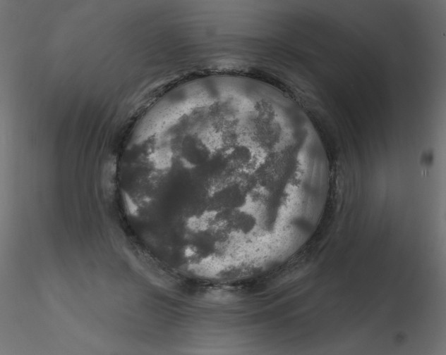 X0000116590550200912312038