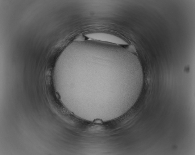 X0000116590551200912312038