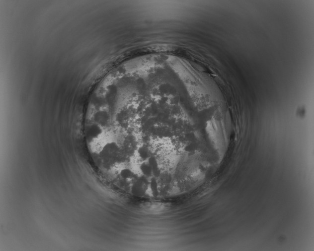 X0000116590553200912312038