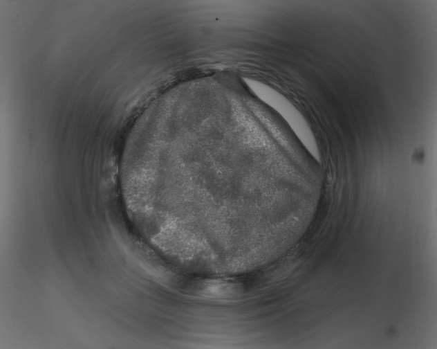 X0000116590555200912312038