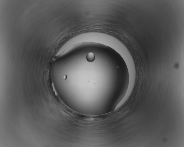 X0000116590558200912312038