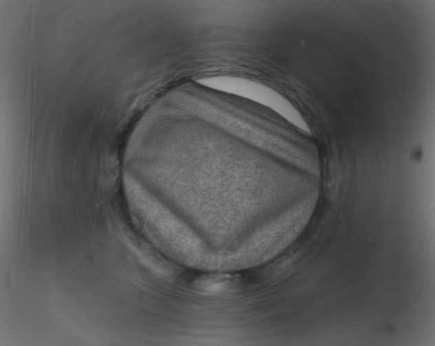 X0000116590563200912312038