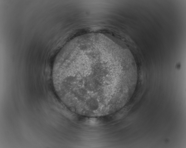 X0000116590565200912312038