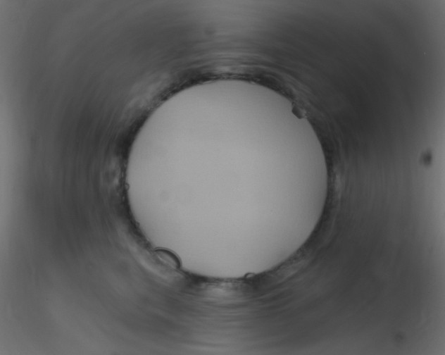 X0000116590567200912312038