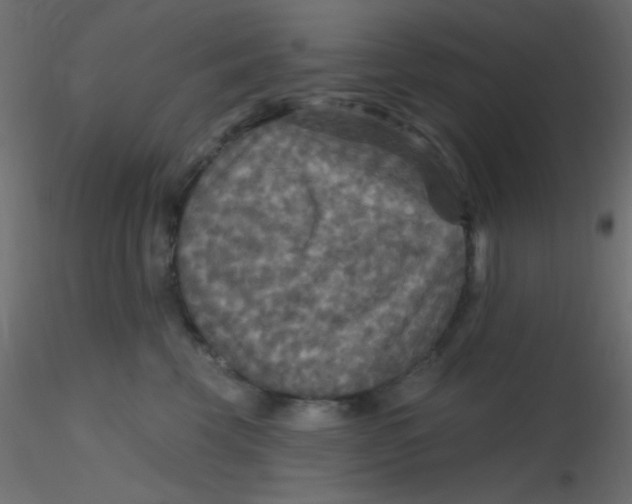 X0000116590569200912312038