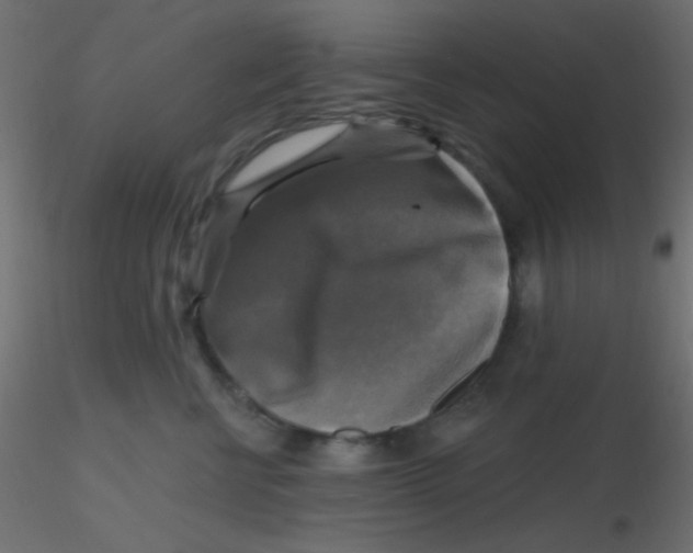 X0000116590570200912312038