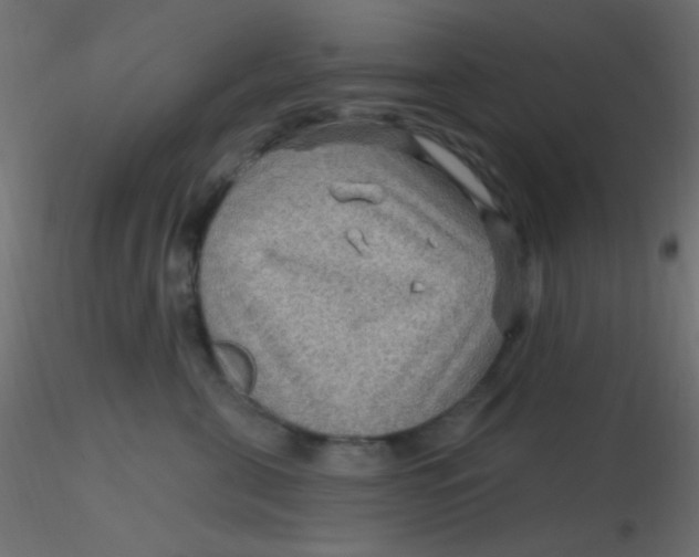 X0000116590571200912312038