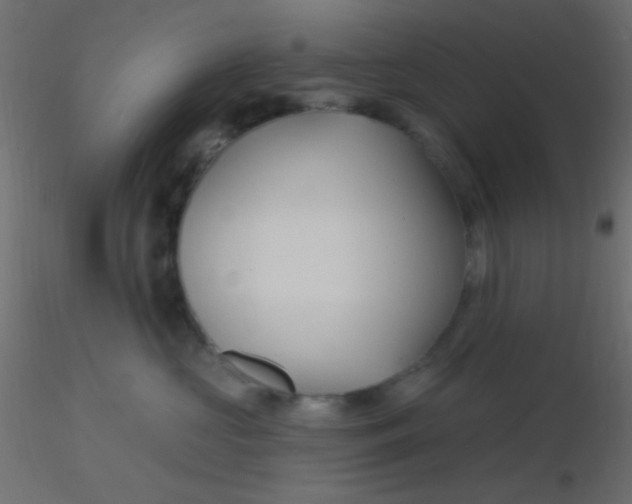 X0000116590573200912312038