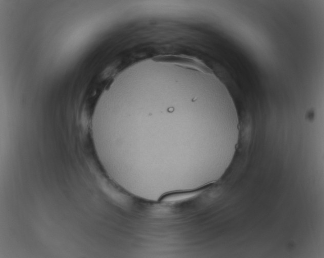 X0000116590574200912312038