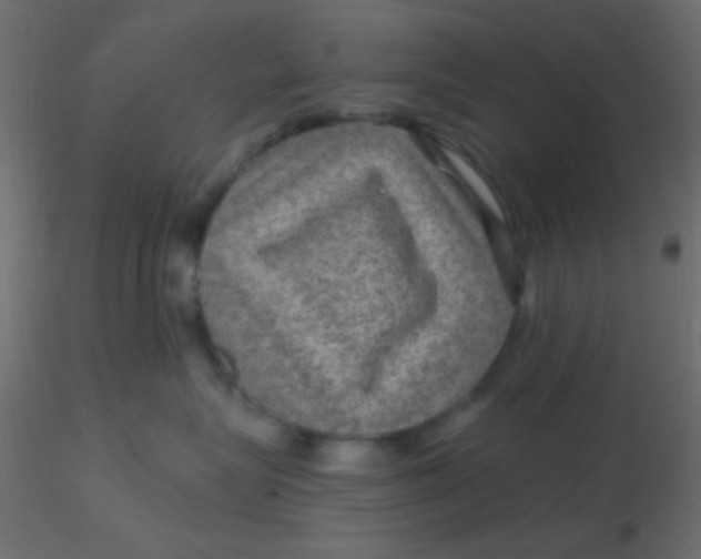 X0000116590575200912312038