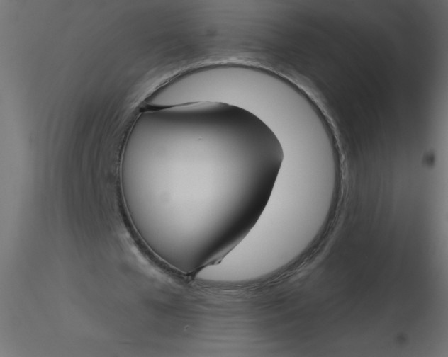 X0000116590577200912312038