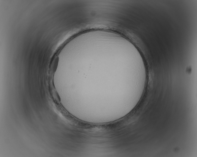 X0000116590578200912312038