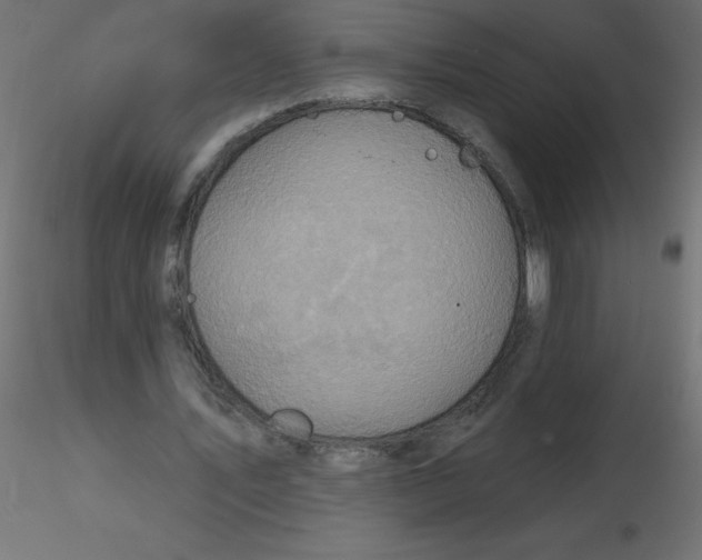 X0000116590579200912312038