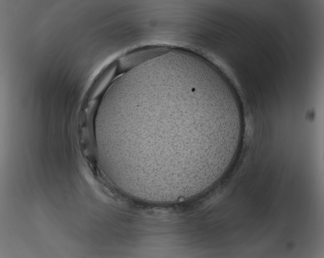 X0000116590580200912312038