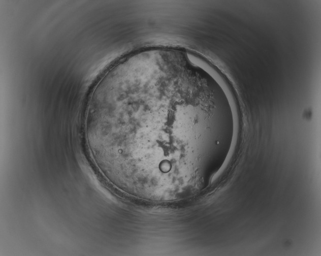 X0000116590581200912312038