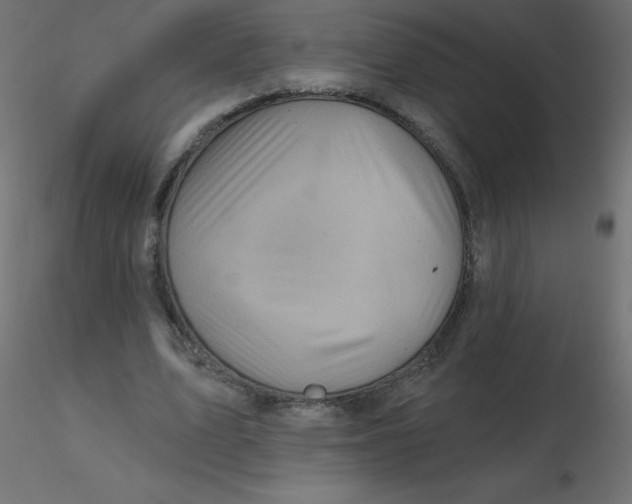 X0000116590583200912312038