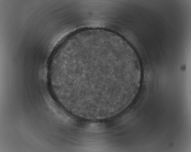 X0000116590584200912312038