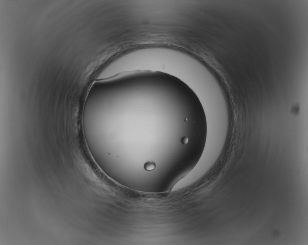 X0000116590585200912312038