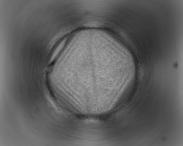 X0000116590586200912312038