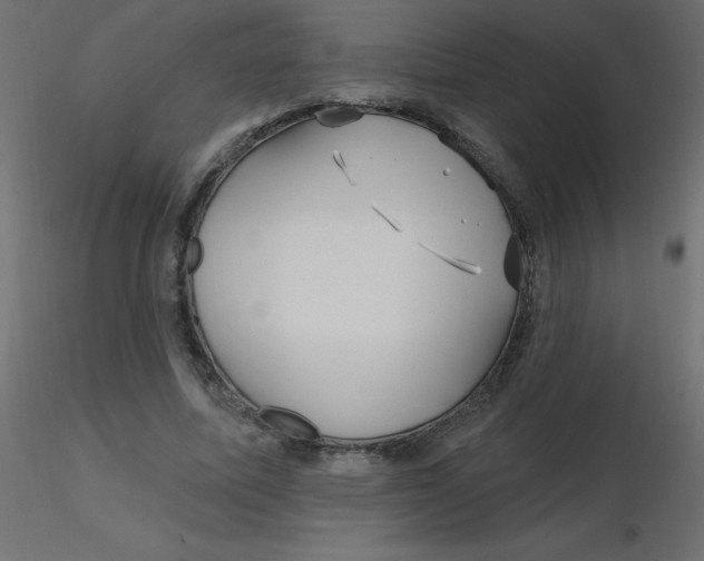 X0000116590587200912312038