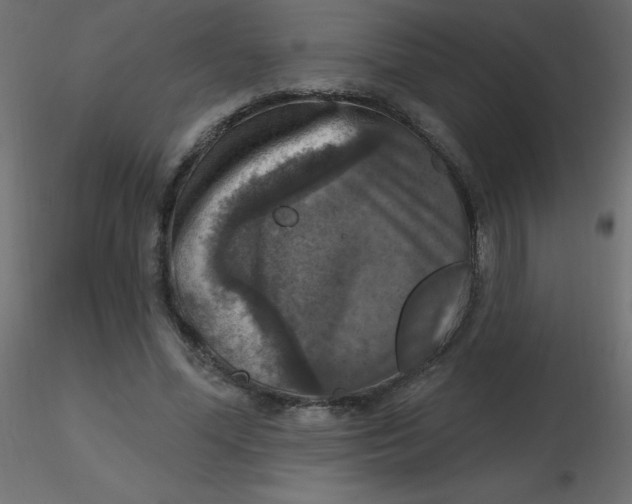 X0000116590588200912312038