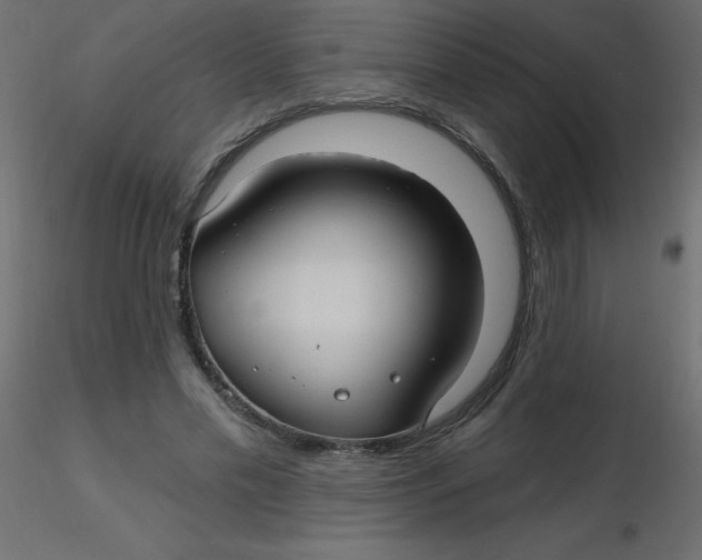 X0000116590589200912312038