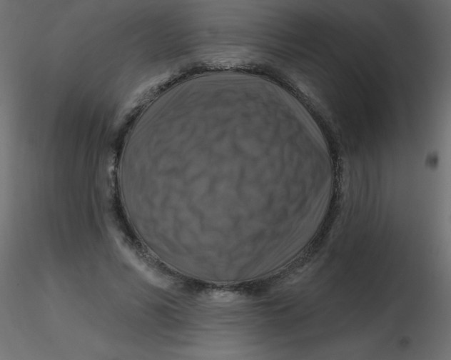 X0000116590590200912312038