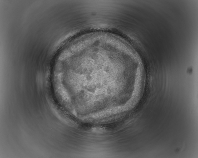 X0000116590591200912312038