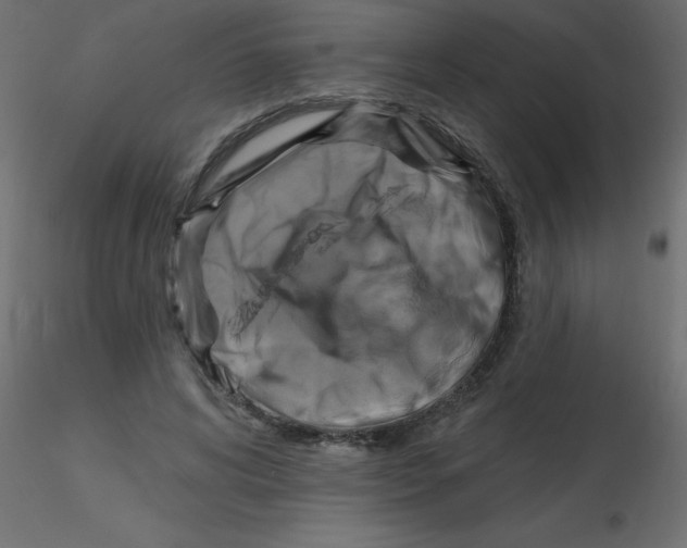 X0000116590592200912312038