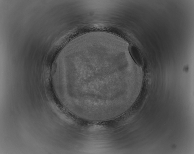 X0000116590593200912312038