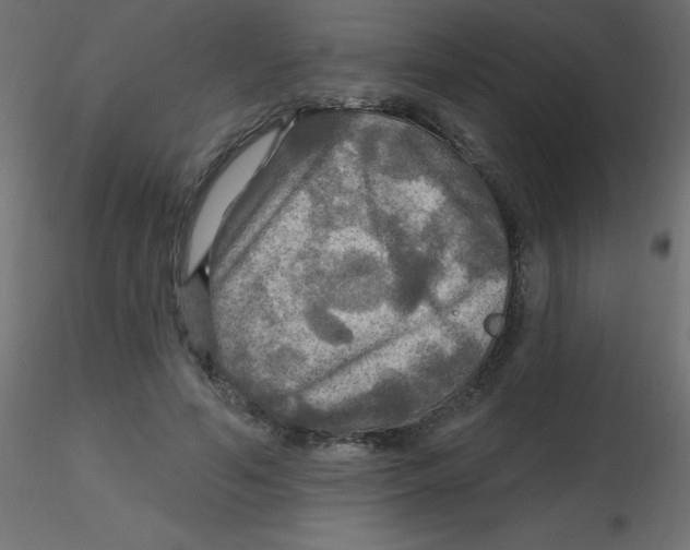 X0000116590594200912312038