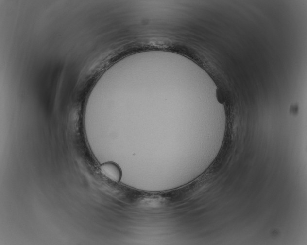 X0000116590595200912312038