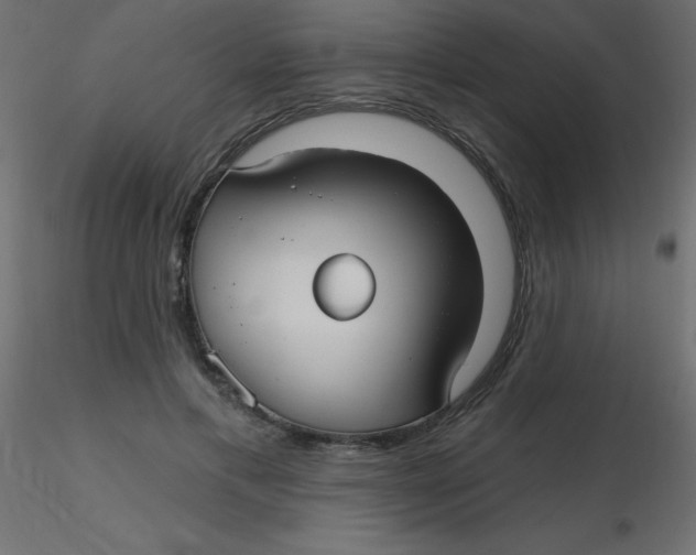 X0000116590597200912312038